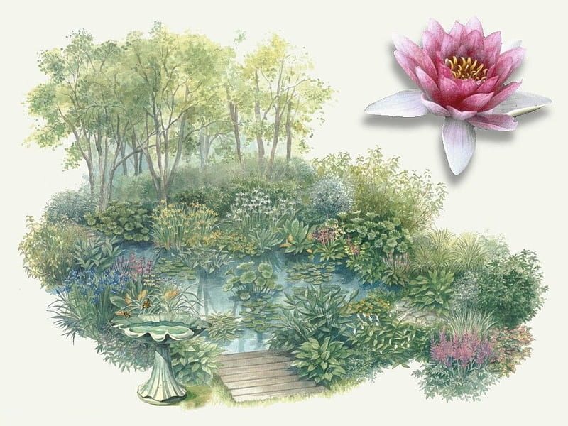 Water Garden 1, art, birdbath, water lily, lake, pond, painting, flower, garden, scenery, HD wallpaper