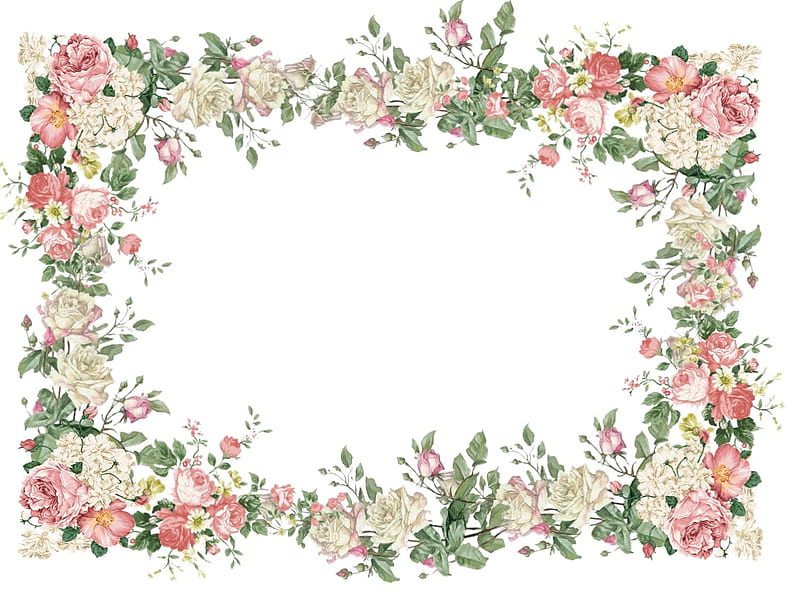 Floral frame, rose, frame, flower, white, pink, floral, card, HD wallpaper