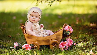 Cute Little Baby Girl Is Sitting On Toy Cart With Rose Flowers In Blur  Green Bokeh Background Cute, HD wallpaper | Peakpx