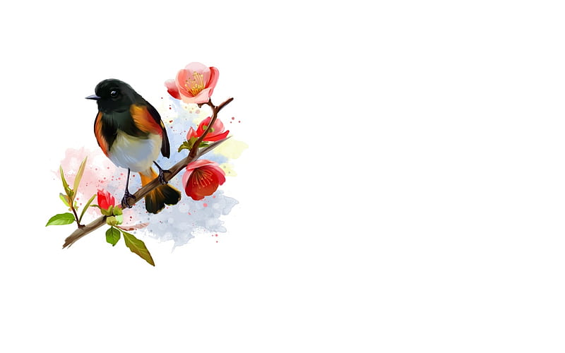 American Redstart bird, fantasy, lorri kajenna, bird, pasare, flower, HD wallpaper