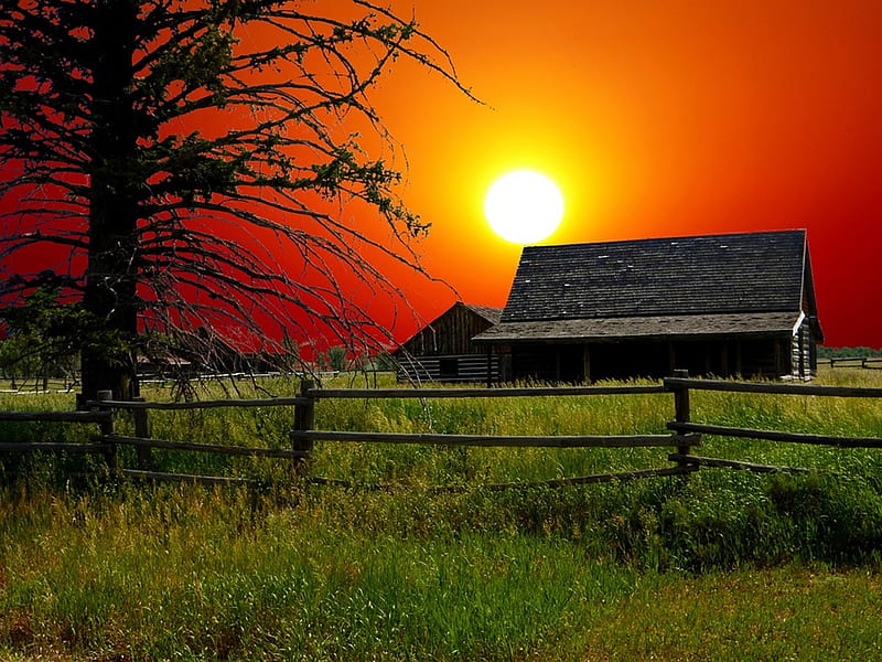sunset, sky, green, graphy, sunsets, beauty, nature, trees, HD wallpaper sunset, sky, green, graphy, sunsets, beauty, nature, trees, HD wallpaper