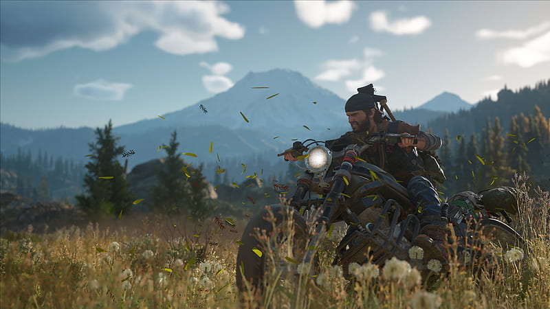 Days Gone Gaming New Days Gone, HD wallpaper