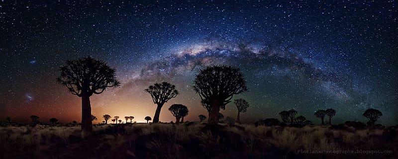 Landscape, Sky, Stars, Night, Desert, Starry Sky, , Milky Way, Joshua Tree, HD wallpaper