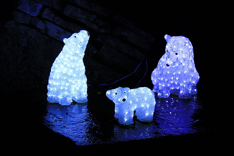 Beary Chilly Here, Christmas, Fountain, Lights, Polar Bears, HD wallpaper