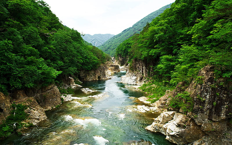 Mountain river, stones, forest, mountains, japan, nature of Japan, HD wallpaper