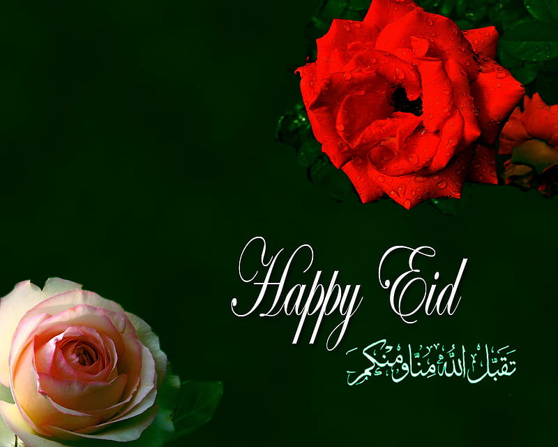 Happy Eid, red, ramadan, muslim, eid mubarak, eid, rose, ramadhan, raindrops, islamic , islam, green, pink, HD wallpaper