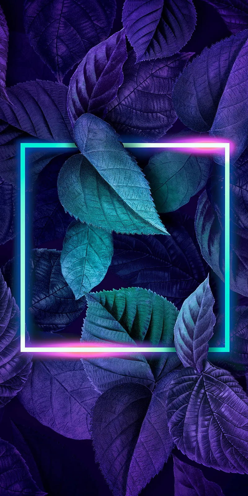 3D Leaves, 2020, background, blue, green, leaf, neon, purple, redmi,  xiaomi, HD phone wallpaper | Peakpx