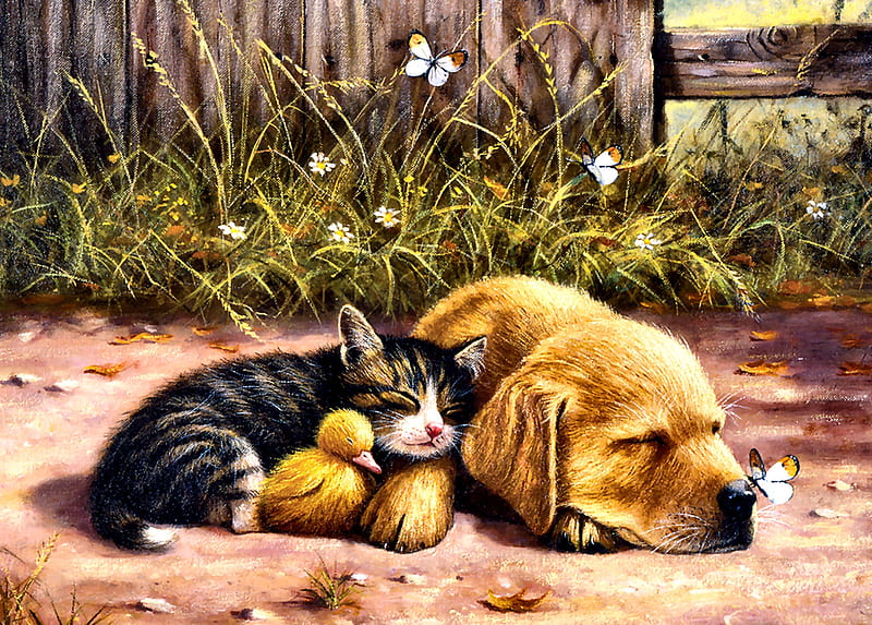 Sleepy Companions, art, bonito, pets, illustration, artwork, canine, animal, feline, butterfly, painting, wide screen, cats, dogs, HD wallpaper
