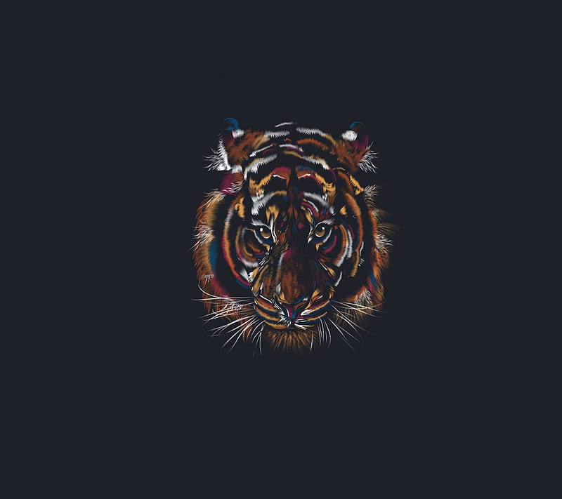 Tiger, love, HD wallpaper | Peakpx