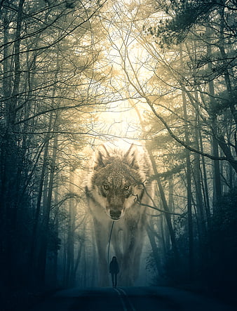 Wolf Of Woods