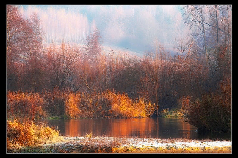 Mazowsze - Poland, stream, fall, autumn, leaves, poland, mazowsze, polish, nature, HD wallpaper