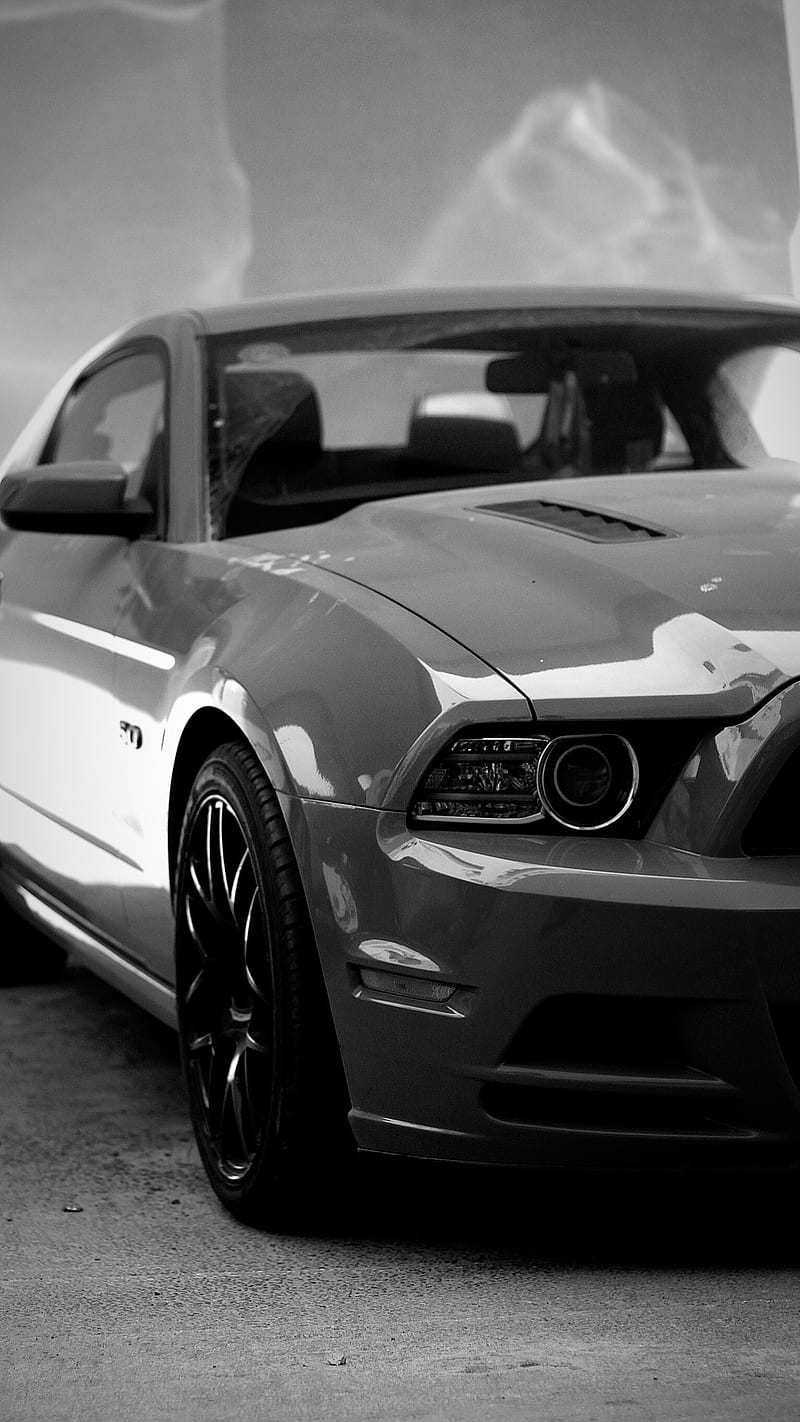 Shelby GT, auto, challenger, charger, dodge, mustang, racecar, white, HD phone wallpaper