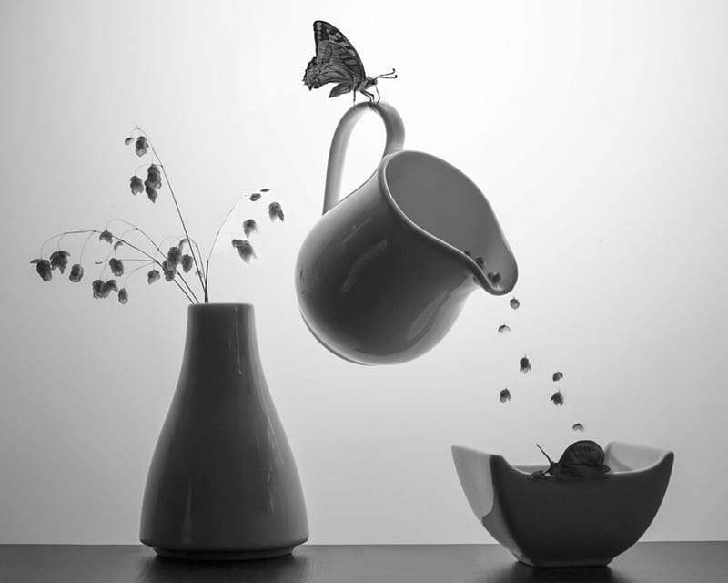 Still life, black and white, vase, pot, HD wallpaper