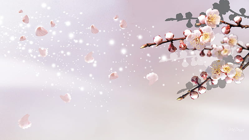 Sakura Strong, sakura, wind, soft, spring, apple blossoms, cherry blossoms, summer, blossoms, petals, blooms, pink, HD wallpaper