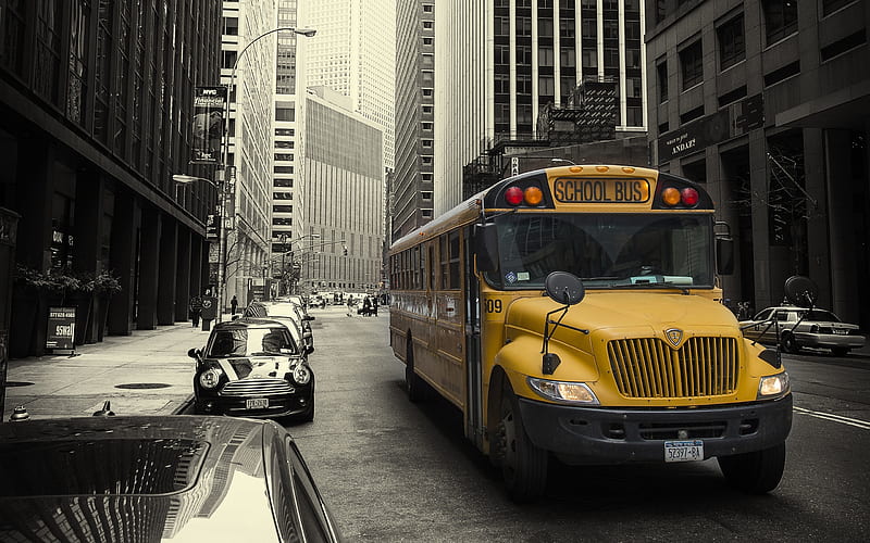 New York, school bus, metropolis, streets, USA, American school bus, HD wallpaper