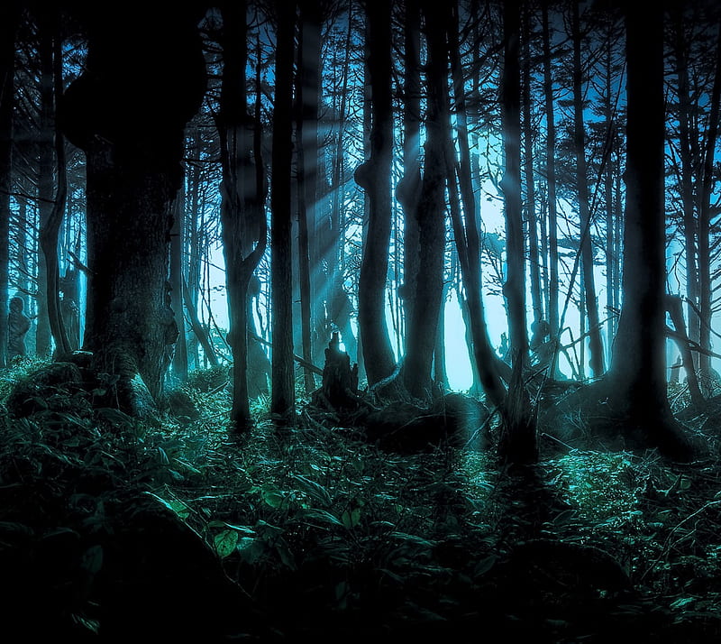 nightmare forest, haloween, HD wallpaper