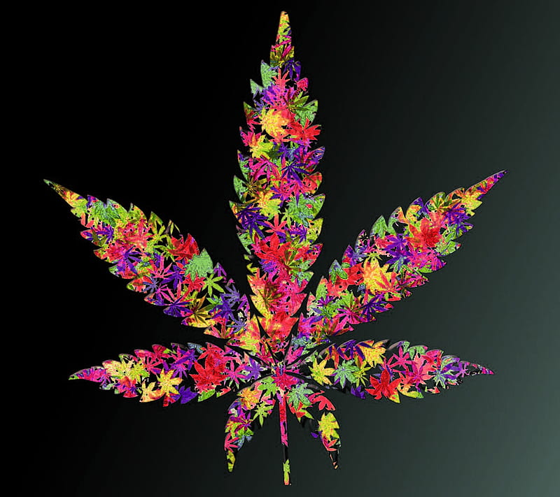 Leaf, color, colorful, smoke, HD wallpaper | Peakpx