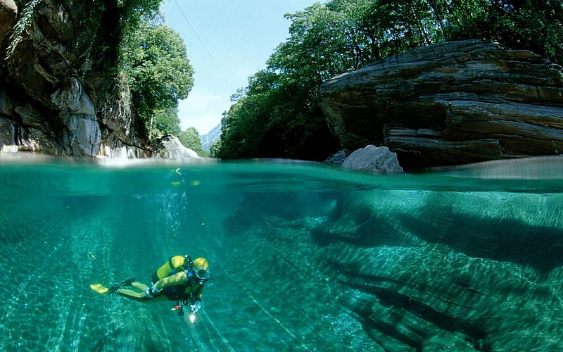 Scuba Diving, rocks, water, trees, HD wallpaper