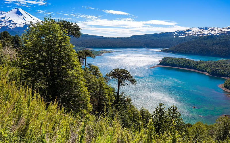 Conguillio National Park, mountain, lake, blue sky, Chile, HD wallpaper