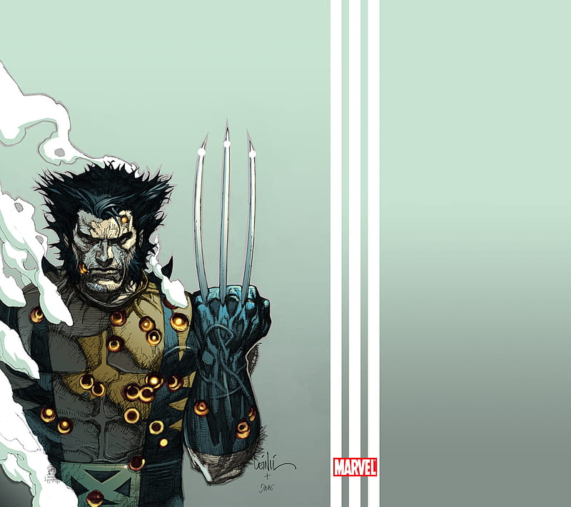 Wolverine, xmen, HD wallpaper | Peakpx