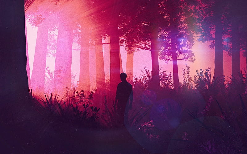 Sunset through the trees, forest, luminos, sunset, silhouette, synthpop, tree, fantasy, mike winkelmann, pink, HD wallpaper