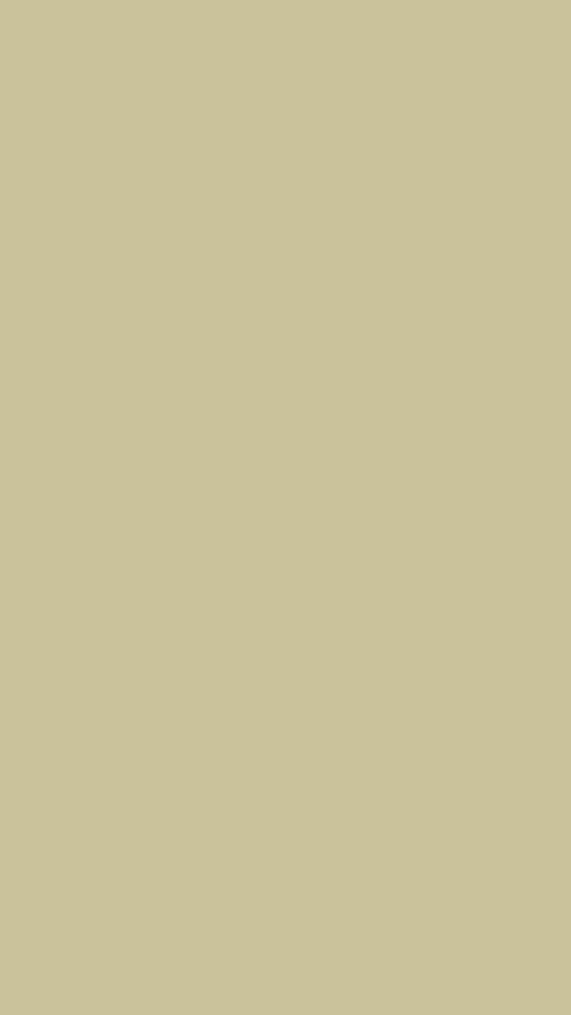 beige, color, background, monochrome, minimalism, HD phone wallpaper