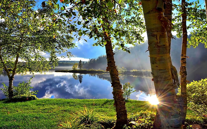 Lake in Sunshine, birches, sunshine, reflection, trees, landscape, lake, HD wallpaper