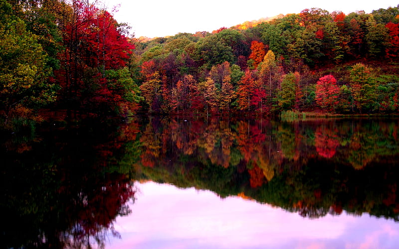 FALL WINE CELLAR LAKE , colorful, fall, autumn, calm, bonito, trees, lake, HD wallpaper