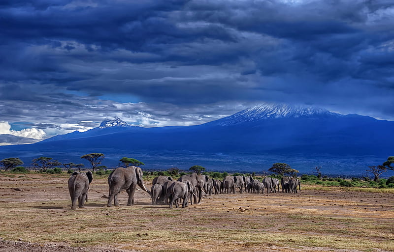 Kilimanjaro - Tanzania, Kilimanjaro, Mountains, Tanzania, Africa, HD wallpaper