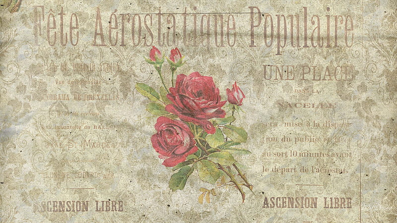 Vintage Paper Three, antique, rose, firefox persona, parchment, old, vintage, HD wallpaper