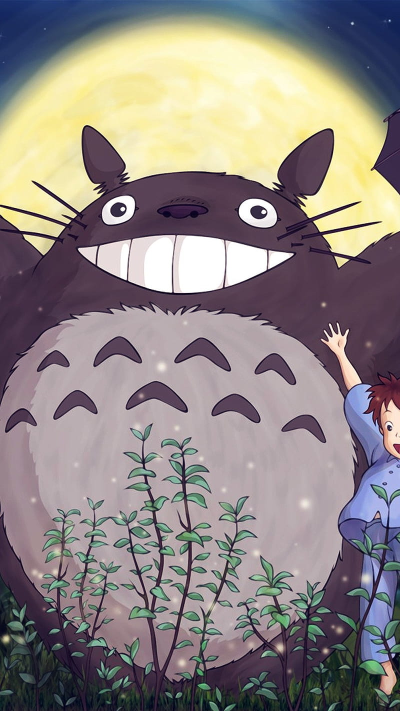 Totoro Anime Hd Phone Wallpaper Peakpx