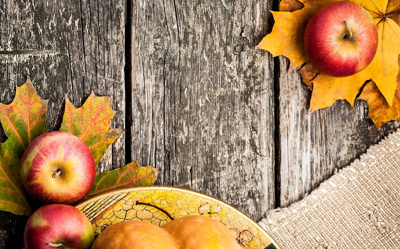 Autumn Apples, apple, autumn, harvest, leaves, maple, wood, HD wallpaper