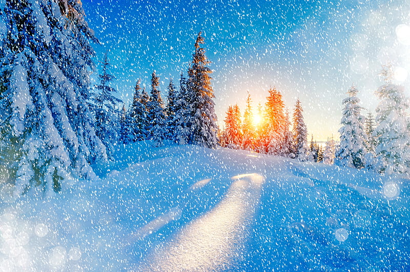 Winter glow, forest, glow, sun, bonito, trees, sky, ski, winter, mountain, rays, snow, snowflakes, snowfall, slope, landscape, HD wallpaper