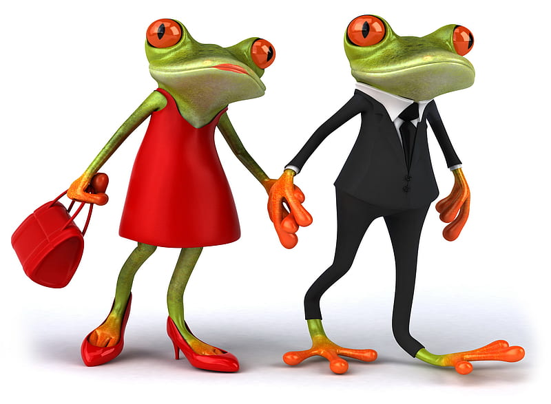 Couple Frogs, cute, funny, love, HD wallpaper