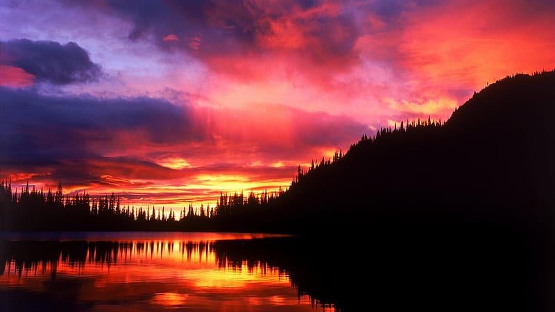 fire in the sky, sunset, trees, clouds, lake, HD wallpaper