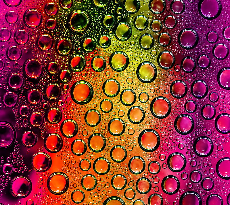 Bubbles, colorful, drops, glass, water, HD wallpaper