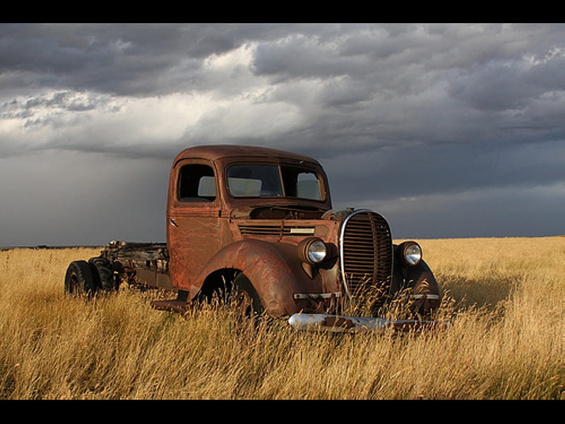 Rusty 1, truck, old, field, rust, HD wallpaper