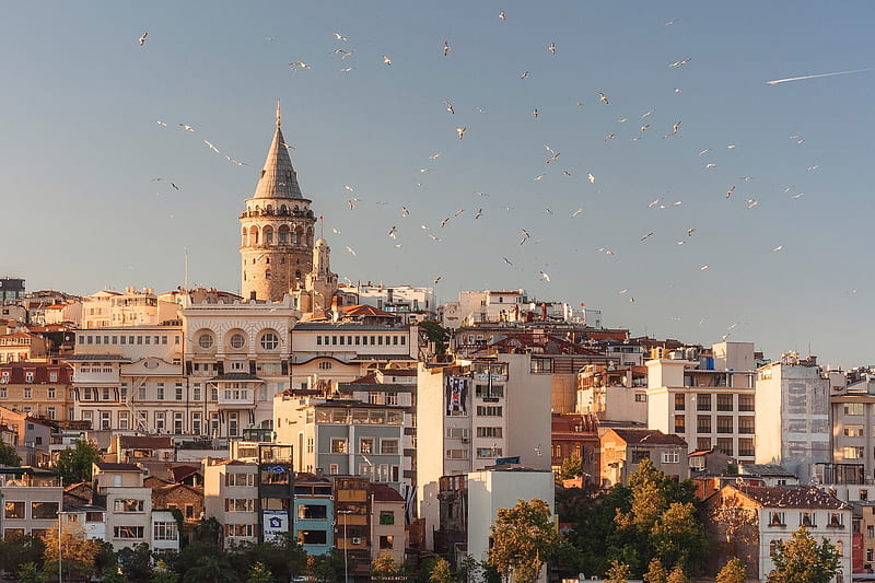 Galata, towers, istanbul, hotel, tour, magic, new, big, tower, cities, ben, HD wallpaper
