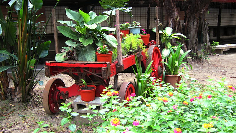 Ox cart, potted plants, red, ornamental plant, green, plantain tree, HD wallpaper