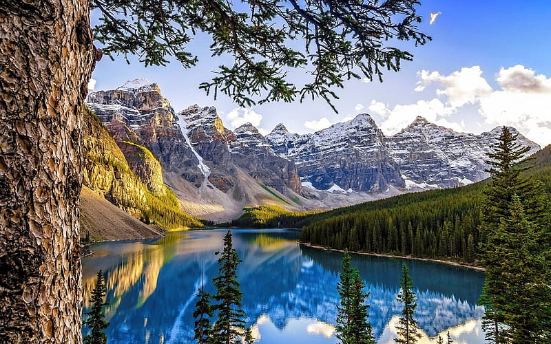 Moraine Lake, summer, mountains, forest, Banff National Park, Canada, Alberta, HD wallpaper
