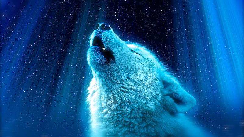 white wolf, howl, majestic, Animal, HD wallpaper
