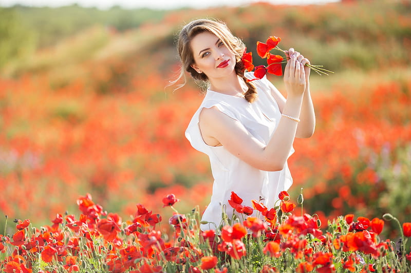 Beauty, red, poppy, model, woman, girl, summer, flower, white, field, HD wallpaper