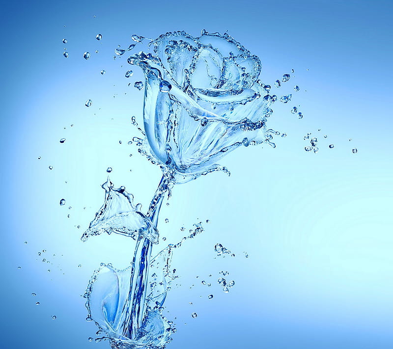 Aqua Rose, aqua, drops, flower, rose, splash, water, HD wallpaper