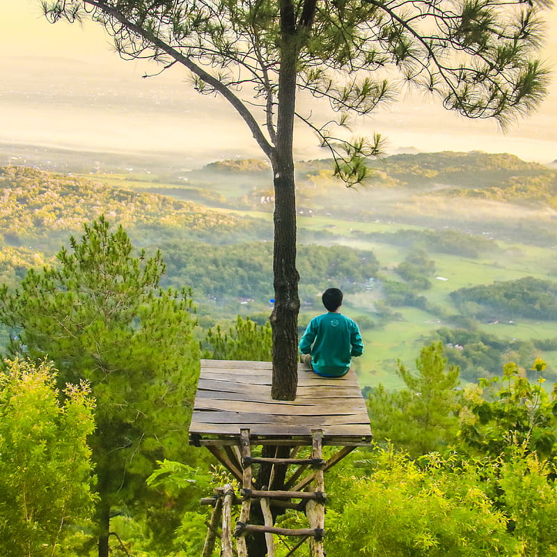 vægt Øjeblik blok Alone, nature person, individual, HD mobile wallpaper | Peakpx