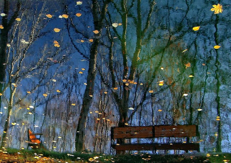 Again exceptional find. Karasev. Autumn., art, tree, painting, park, night, HD wallpaper