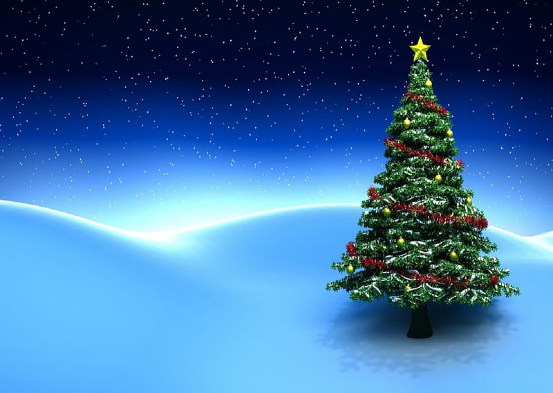 O Christmas Tree, stars, tree, christmas, snow, HD wallpaper | Peakpx