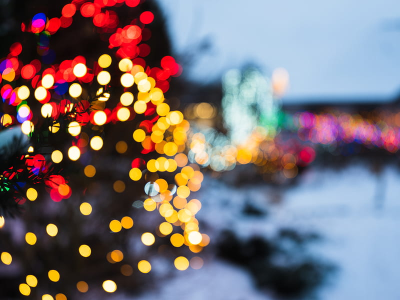 Tree, lights, bokeh, blur, new year, HD wallpaper | Peakpx