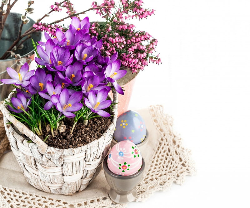 Happy Easter!, egg, crocus, purple, flower, easter, white, pink, card