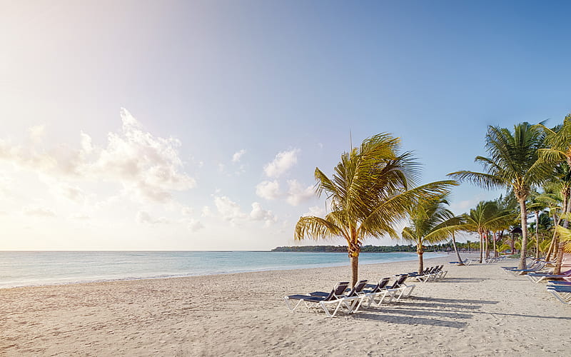 Cancun, beach, ocean, palm trees, chaise lounges, Riviera, Mexico, HD wallpaper