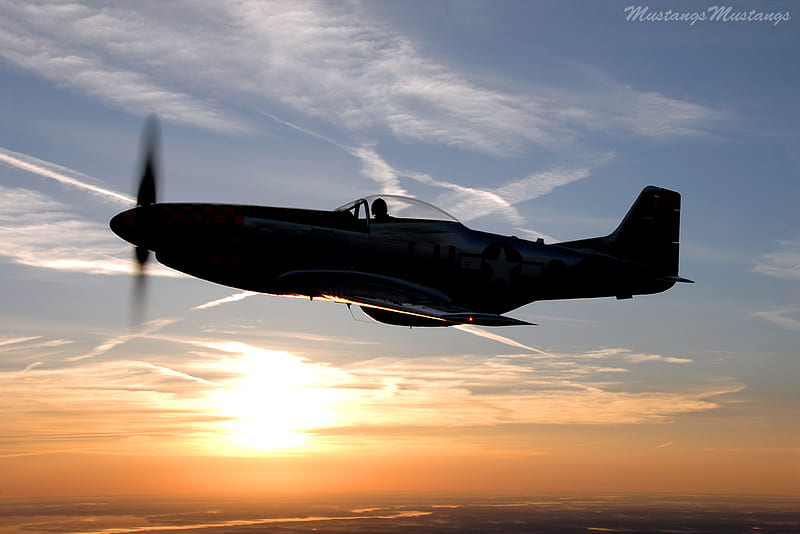 Long Way Home, fighter aircraft, flight, p51 mustang, sunset, fighters, planes, ww ii, mustang, aircraft, airplanes, HD wallpaper